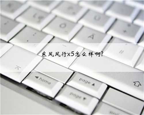 东风风行x5怎么样啊?
