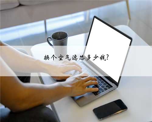 换个空气滤芯多少钱?