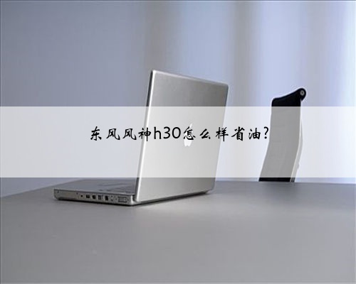东风风神h30怎么样省油?