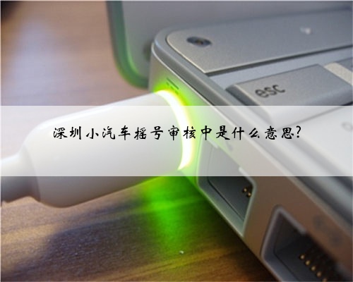 深圳小汽车摇号审核中是什么意思?