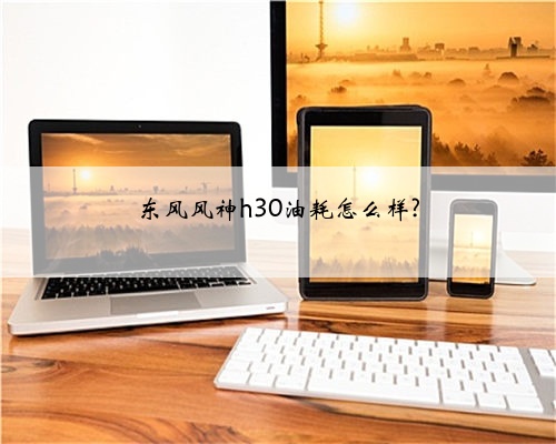 东风风神h30油耗怎么样?