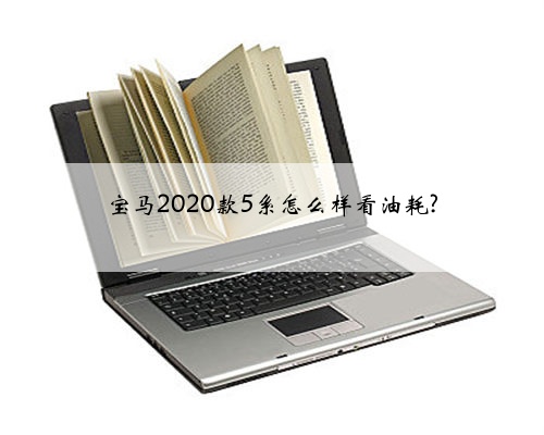 宝马2020款5系怎么样看油耗?