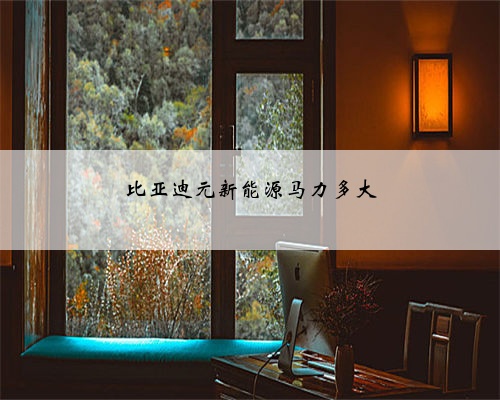 比亚迪元新能源马力多大