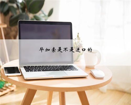 毕加索是不是进口的