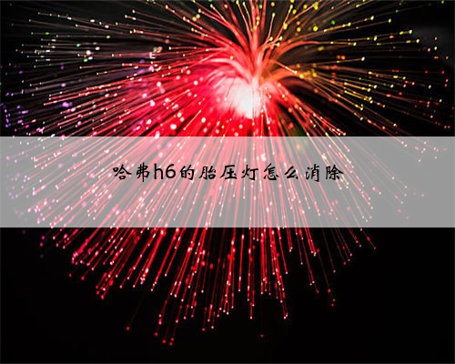 哈弗h6的胎压灯怎么消除