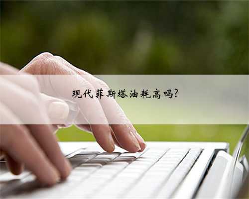 现代菲斯塔油耗高吗?