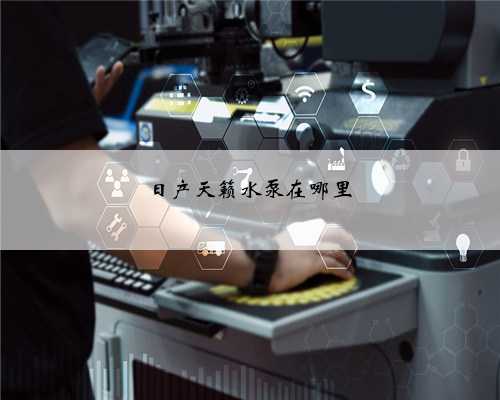 日产天籁水泵在哪里