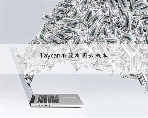 Taycan有没有国六版本