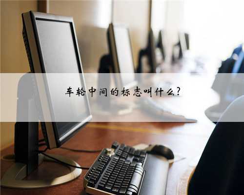 车轮中间的标志叫什么?