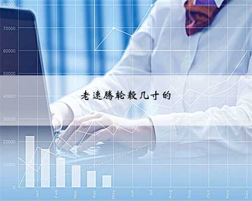 老速腾轮毂几寸的