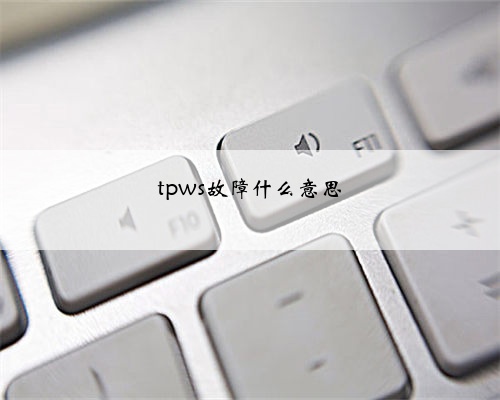 tpws故障什么意思