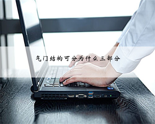 气门结构可分为什么三部分