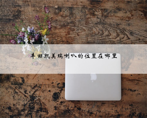 丰田凯美瑞喇叭的位置在哪里