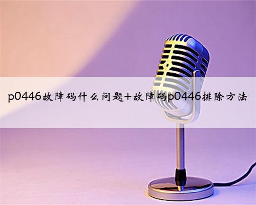 p0446故障码什么问题 故障码p0446排除方法
