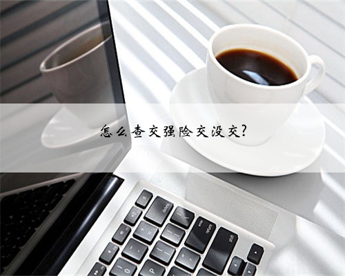 怎么查交强险交没交?