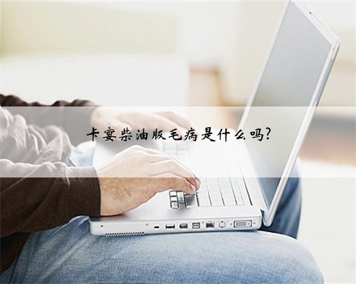 卡宴柴油版毛病是什么吗?
