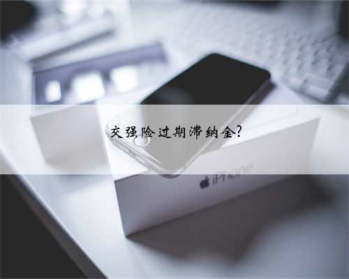 交强险过期滞纳金?