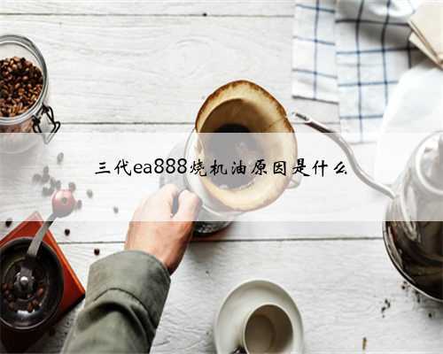 三代ea888烧机油原因是什么