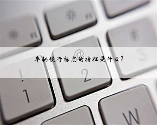 车辆慢行标志的特征是什么?