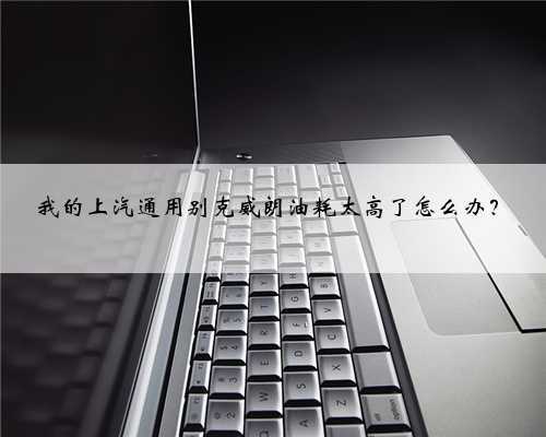 我的上汽通用别克威朗油耗太高了怎么办?