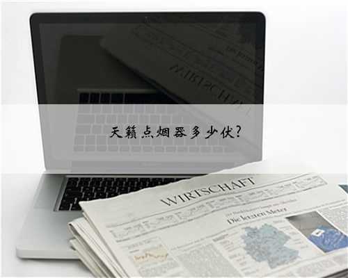 天籁点烟器多少伏?