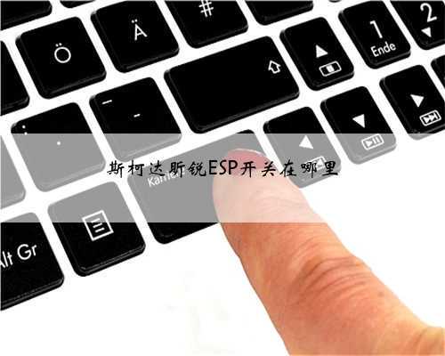 斯柯达昕锐ESP开关在哪里