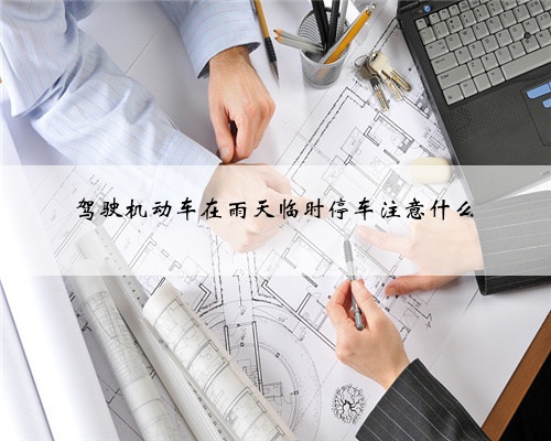 驾驶机动车在雨天临时停车注意什么