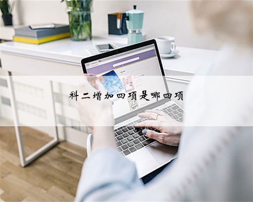 科二增加四项是哪四项