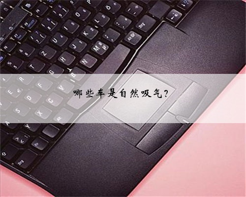 哪些车是自然吸气?
