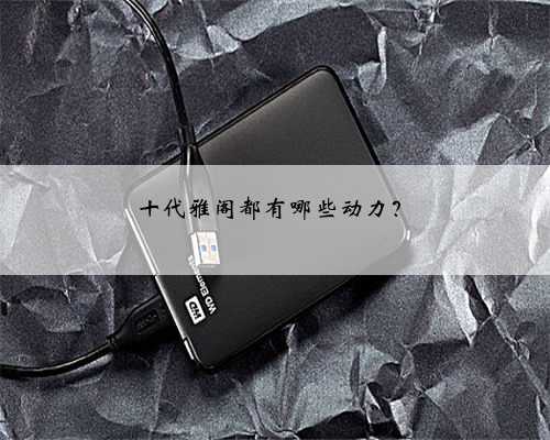 十代雅阁都有哪些动力？