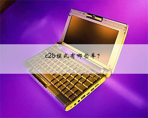c2b模式有哪些车？