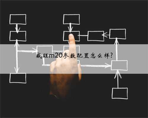 威旺m20参数配置怎么样?