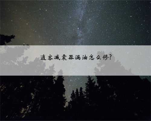 逍客减震器漏油怎么修?