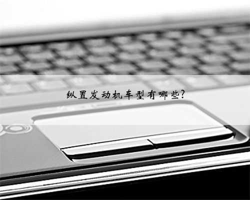 纵置发动机车型有哪些?