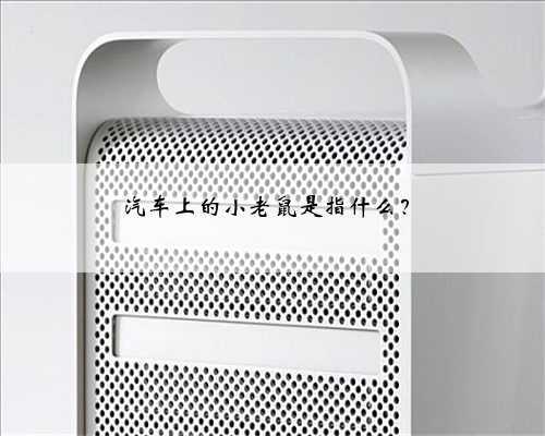 汽车上的小老鼠是指什么？
