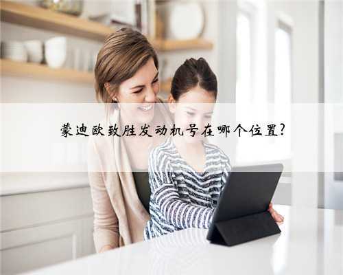 蒙迪欧致胜发动机号在哪个位置?