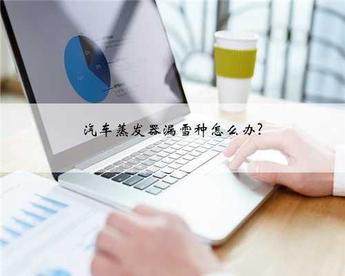 汽车蒸发器漏雪种怎么办?