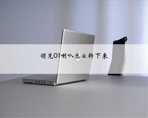 领克01喇叭怎么拆下来