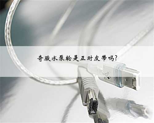 奇骏水泵轮是正时皮带吗?