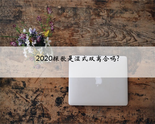2020探歌是湿式双离合吗?