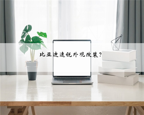 比亚迪速锐外观改装?