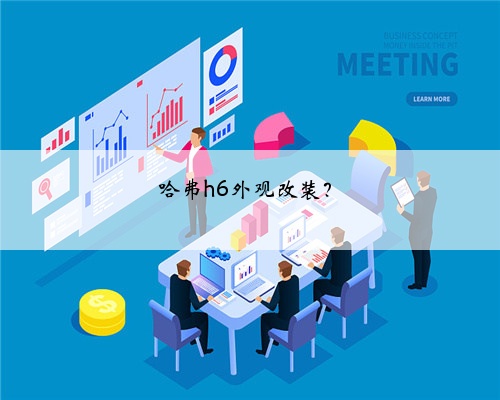 哈弗h6外观改装？