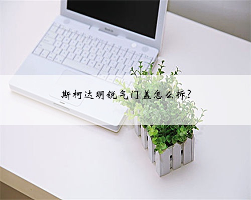 斯柯达明锐气门盖怎么拆?