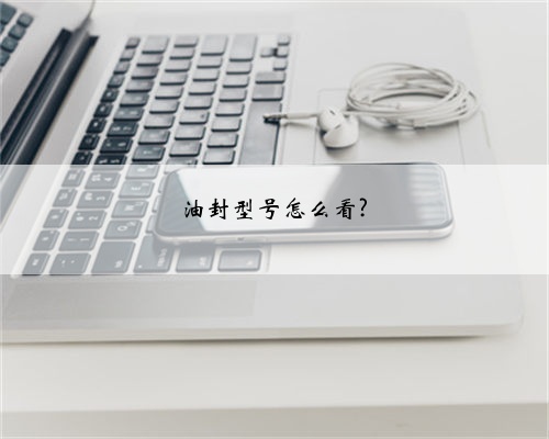 油封型号怎么看?