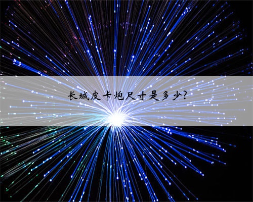 长城皮卡炮尺寸是多少?