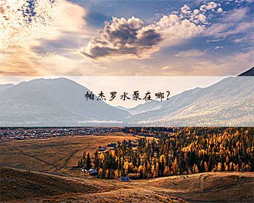 帕杰罗水泵在哪?