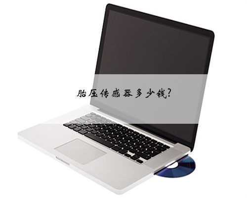 胎压传感器多少钱?