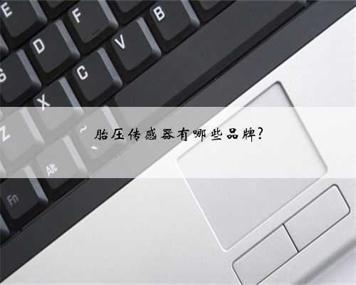 胎压传感器有哪些品牌?