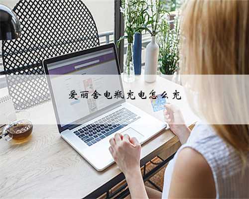 爱丽舍电瓶充电怎么充