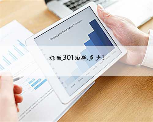 标致301油耗多少?